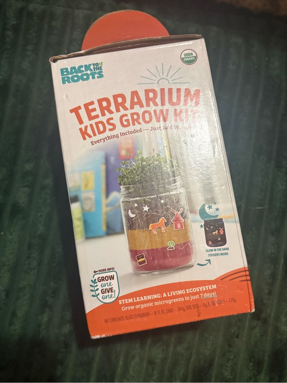 Terrarium Kids Grow Kit — Orange